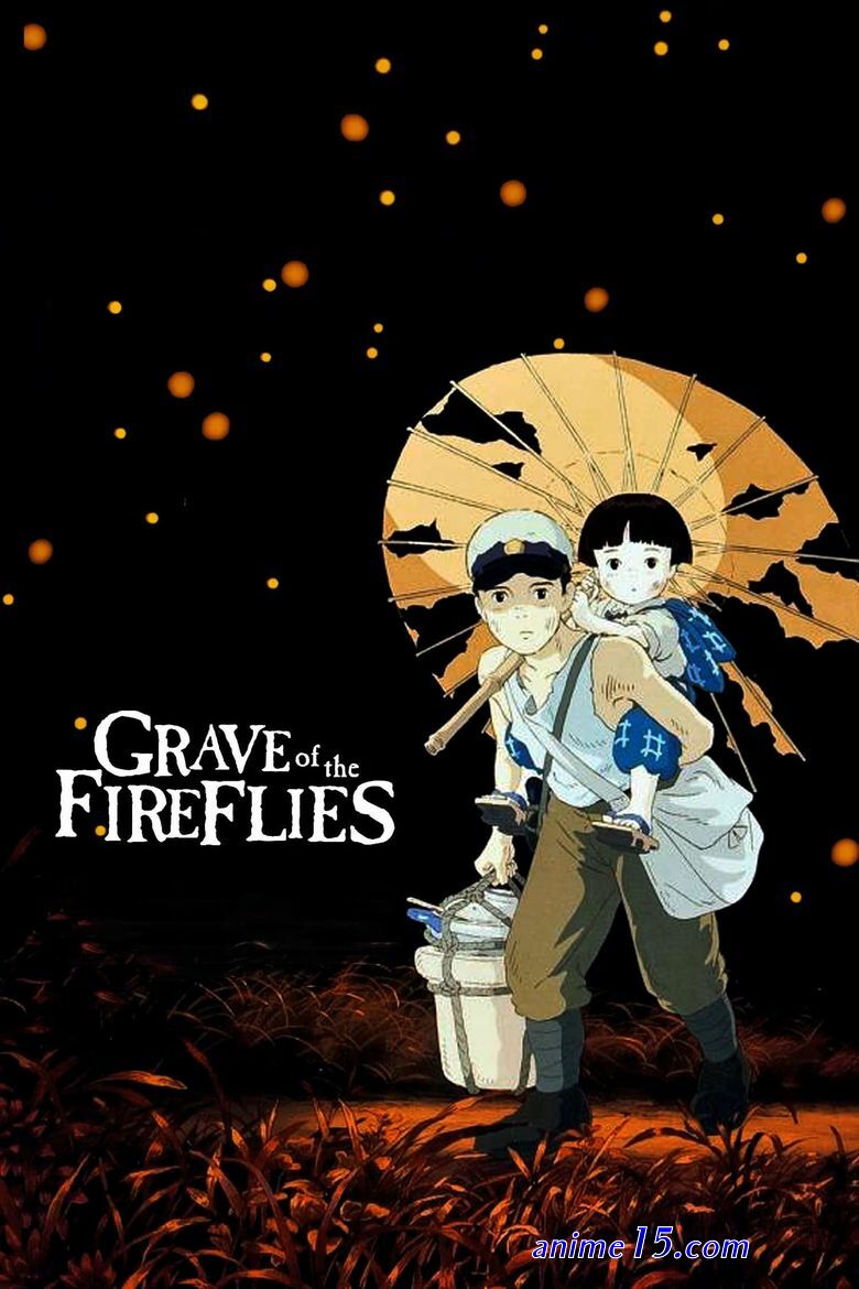 anime raidin en streaming