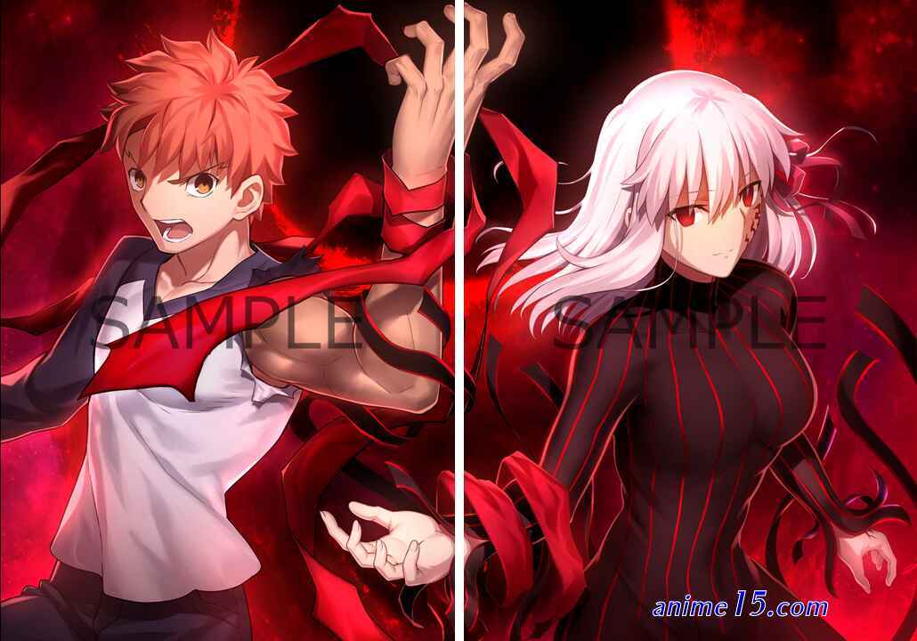 fate heavens feel 3vostfr
