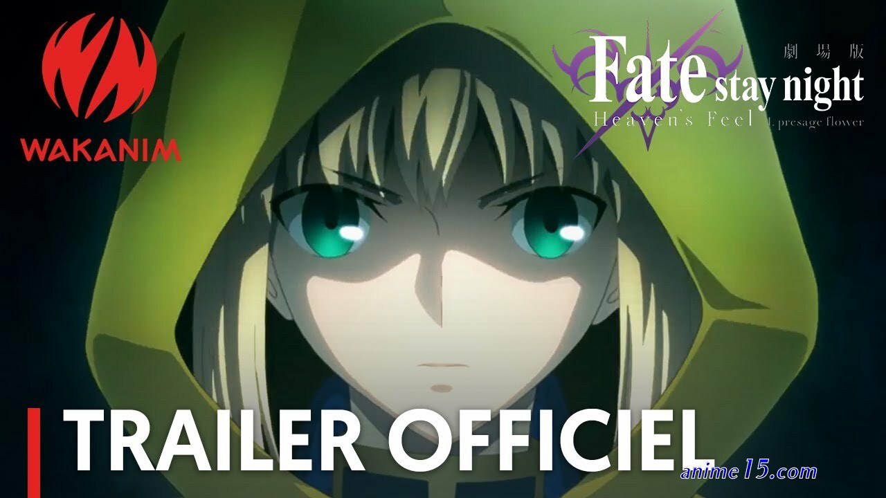 fate heavens feel 3vostfr