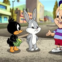 todos baby looney tunes episodios animes up