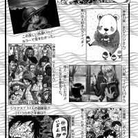 onepiececap620