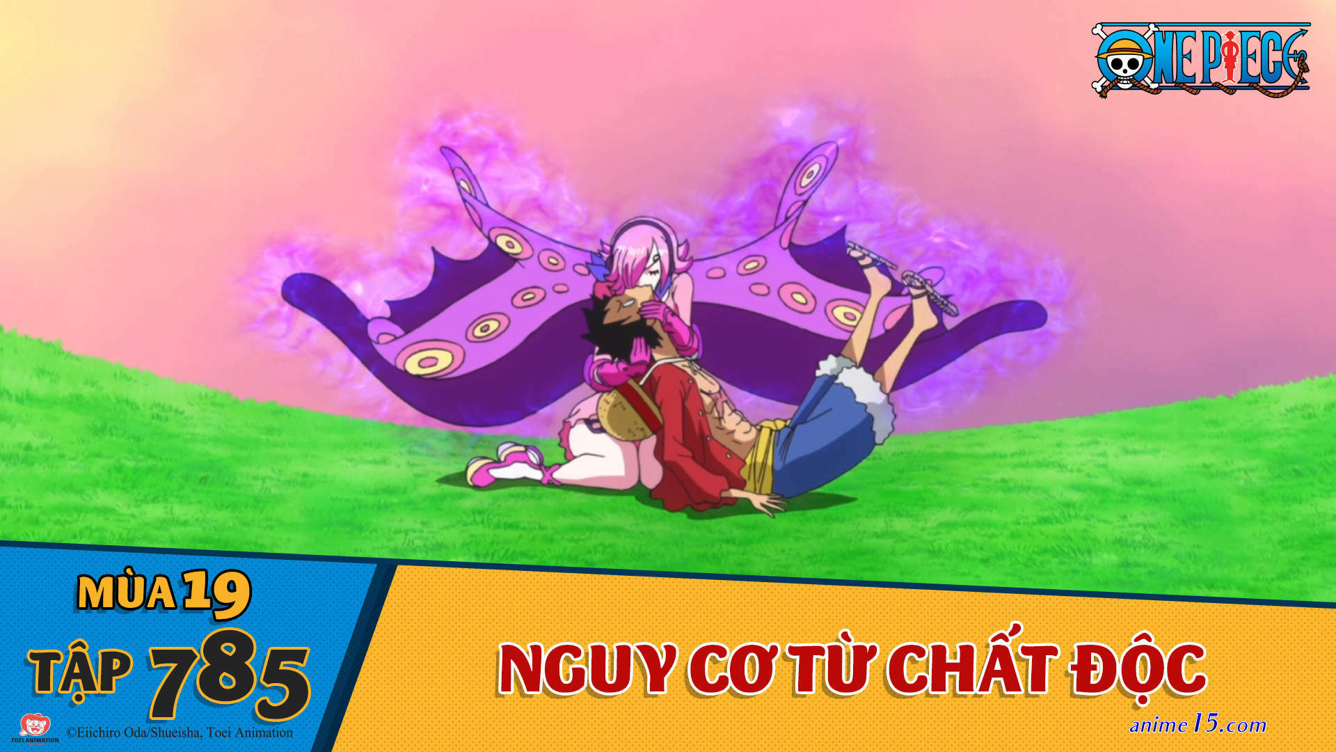 ver one piece online capitulo 785