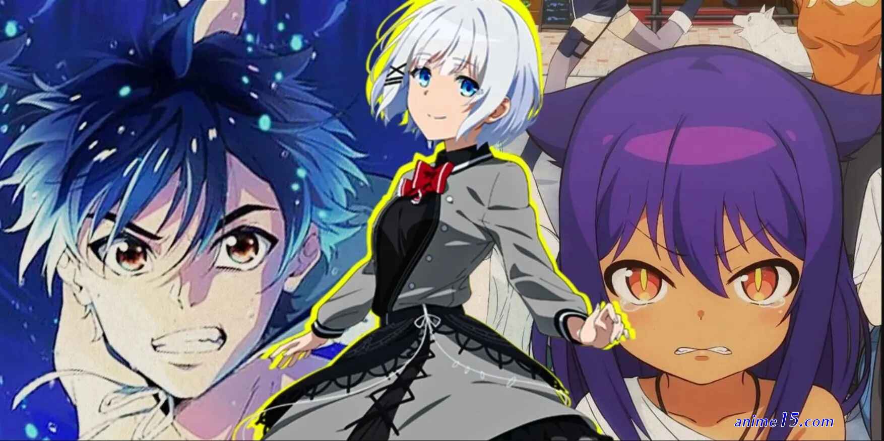 wise man s grandchild anime pregnant