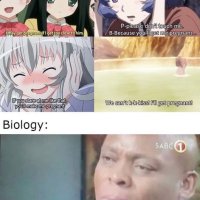 wise man s grandchild anime pregnant