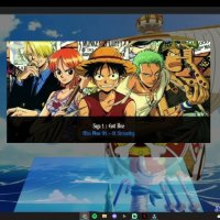 one pièce 11 anim vostfr