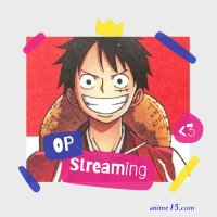 one pièce 11 anim vostfr