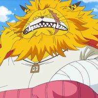 episode one piece 822 neko sama