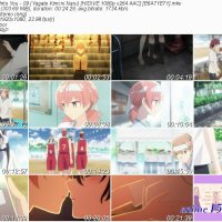 boom into you english dubbed
