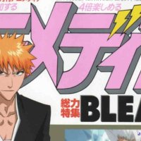 bleach episode 214 subbed