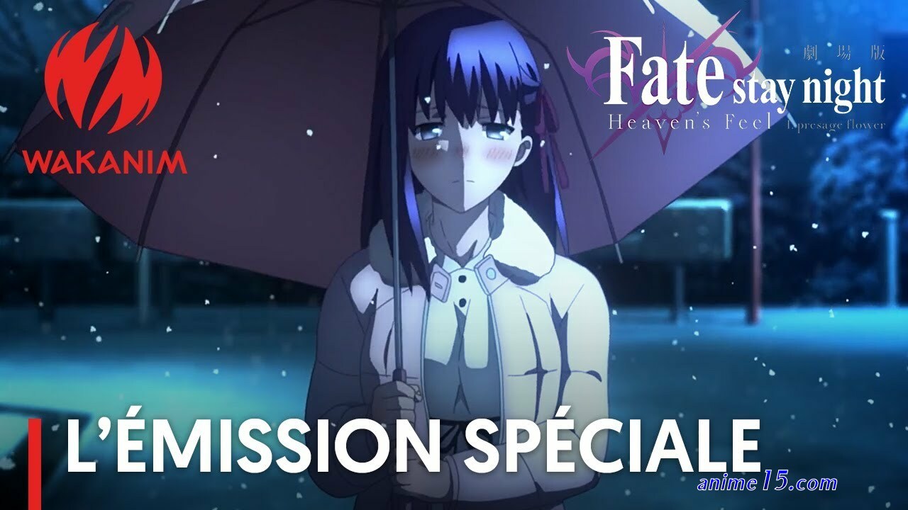 fate stay night 02 vostfr