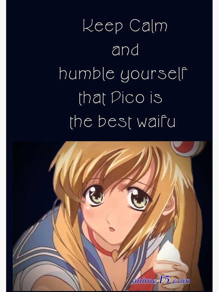 boku no pico