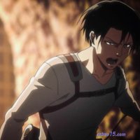 snk saison 4 neko sama