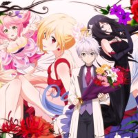 undefeated bahamut chronicle sexy yoruka