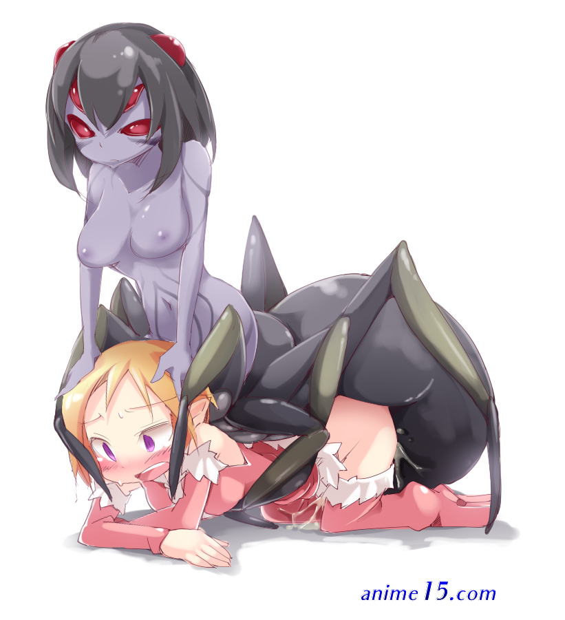 sex anime spider
