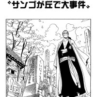 one piece 617