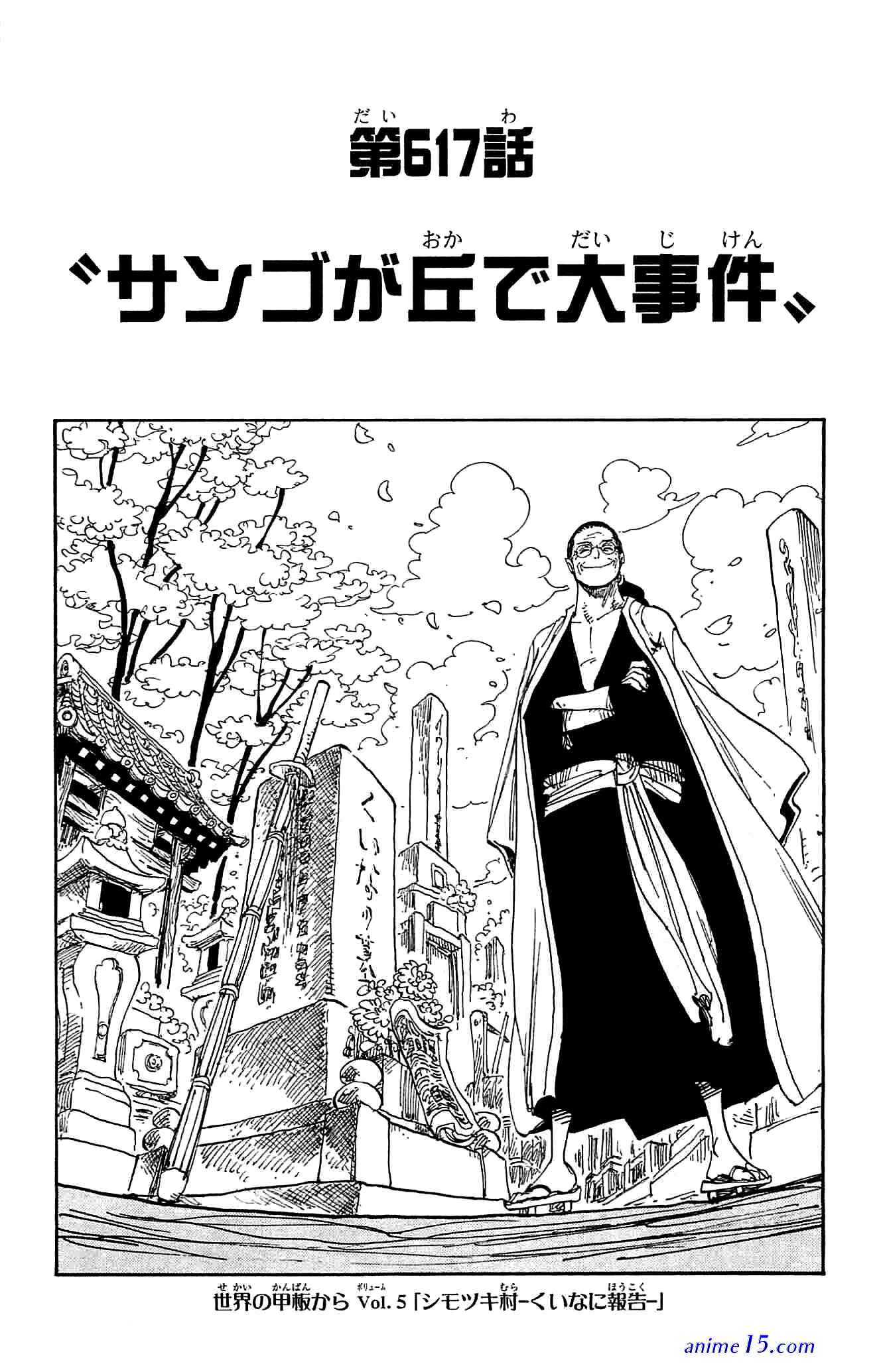 one piece 617