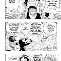 one piece 255