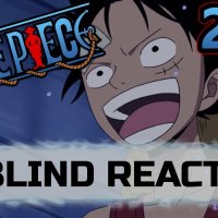 one piece 255