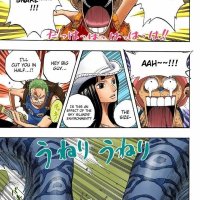 one piece 255