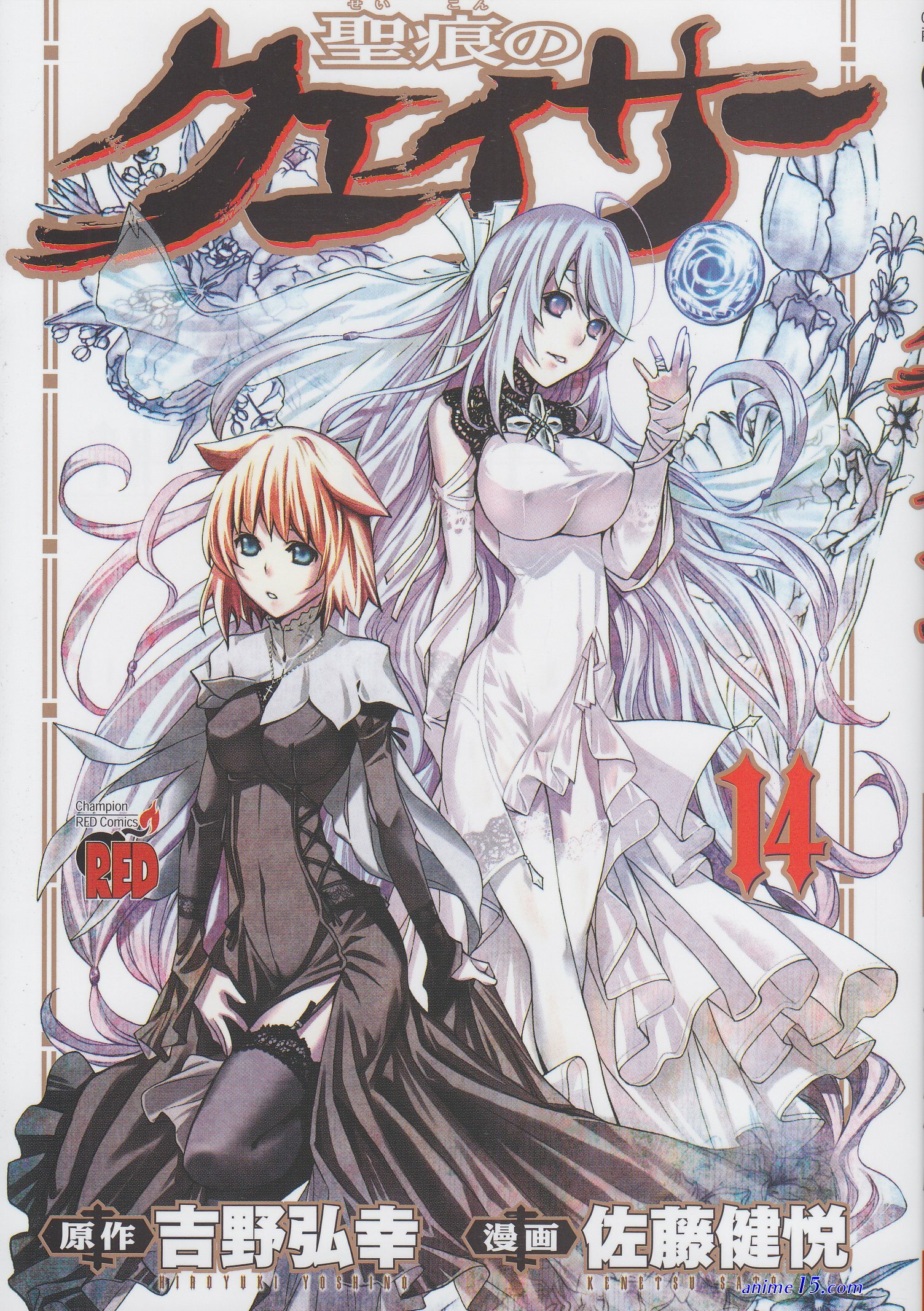 download anime seikon no qwaser