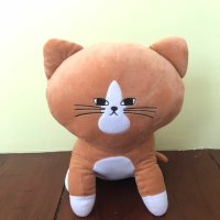 jjk vf neko