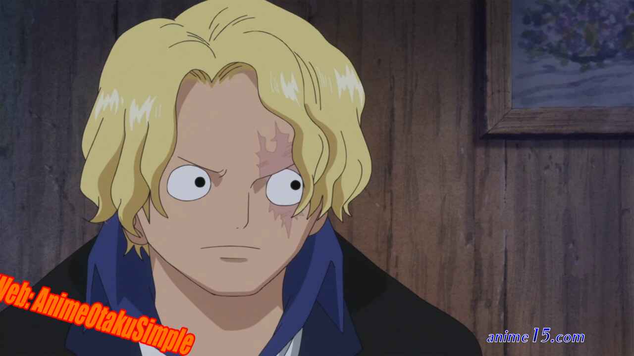 one piece capitulo 738