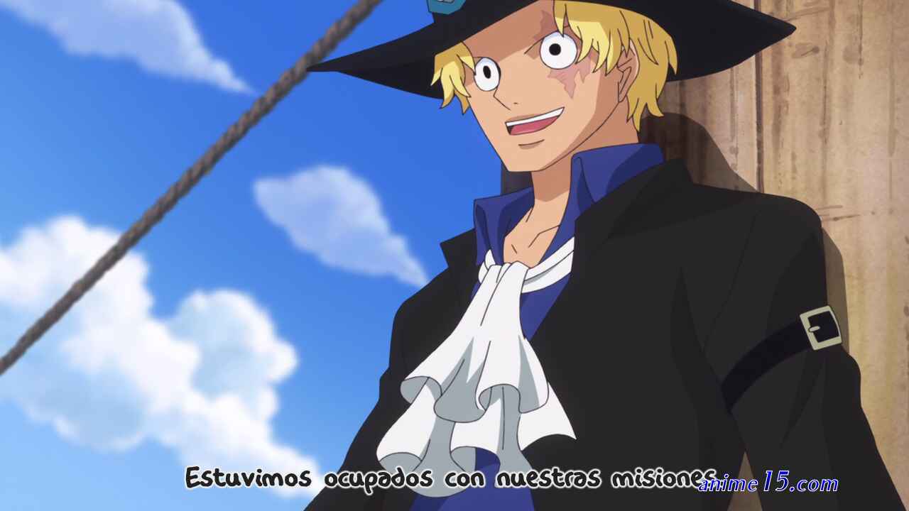 one piece capitulo 738