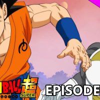 épisode dbz 209