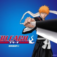 bleach kai vostfr