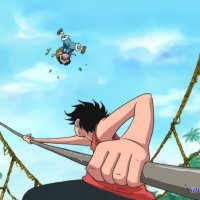 one piece gogo 503