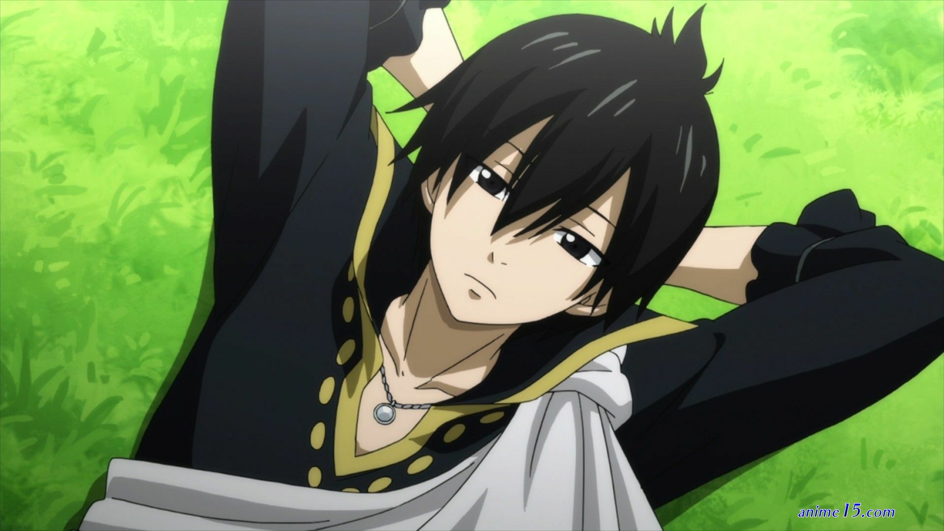 watch fairytail fina series