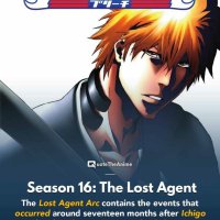 bleach episode 343 gogoanime