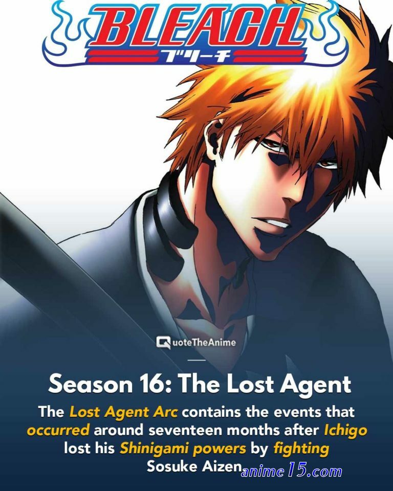 bleach episode 343 gogoanime