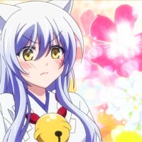 kukuri san