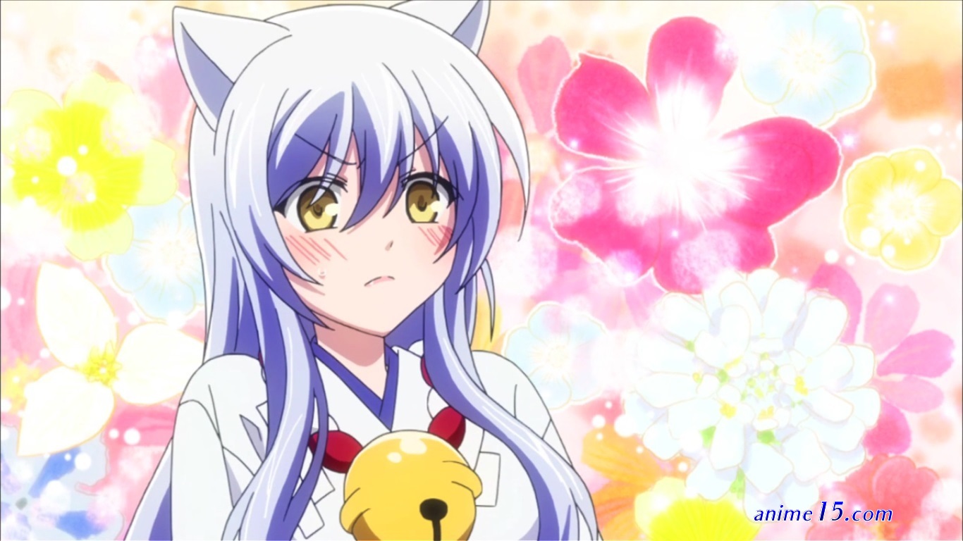 kukuri san