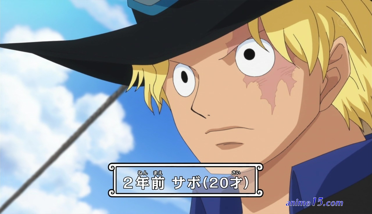 one piece capitulo 738