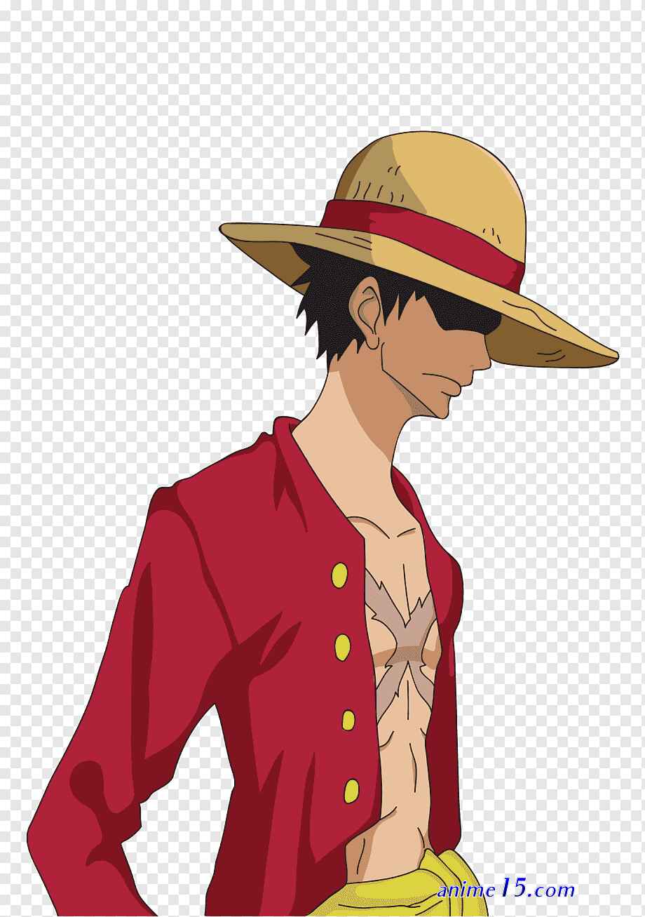 one piece capitulo 738