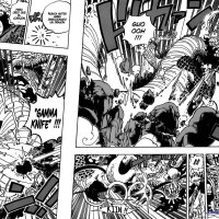 ver one piece cap 1002