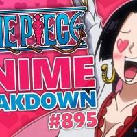 one piececap 895