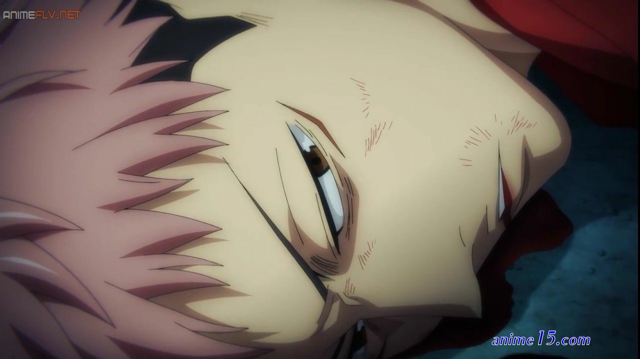 jujutsu kaisen animeflv