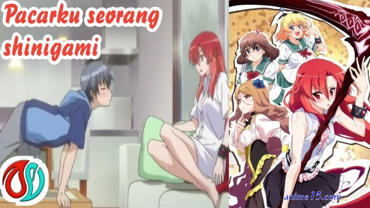 dawnload batch dakara boku wa sub indo