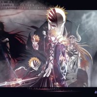 bleach english dubbed 165