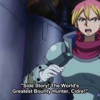 one piececap 895