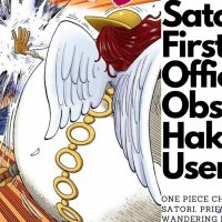 one piece 246