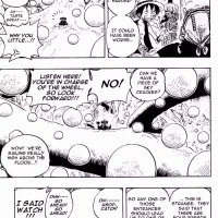 one piece 246