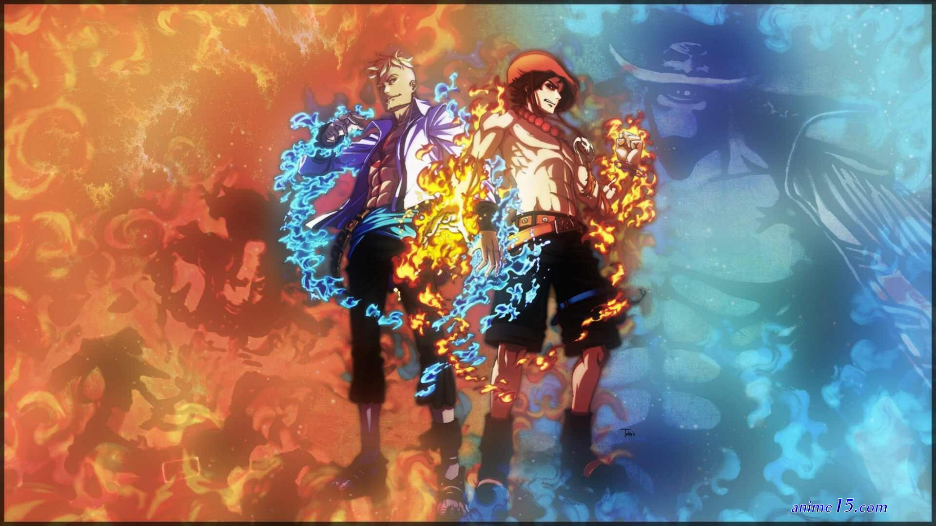 one piece 246
