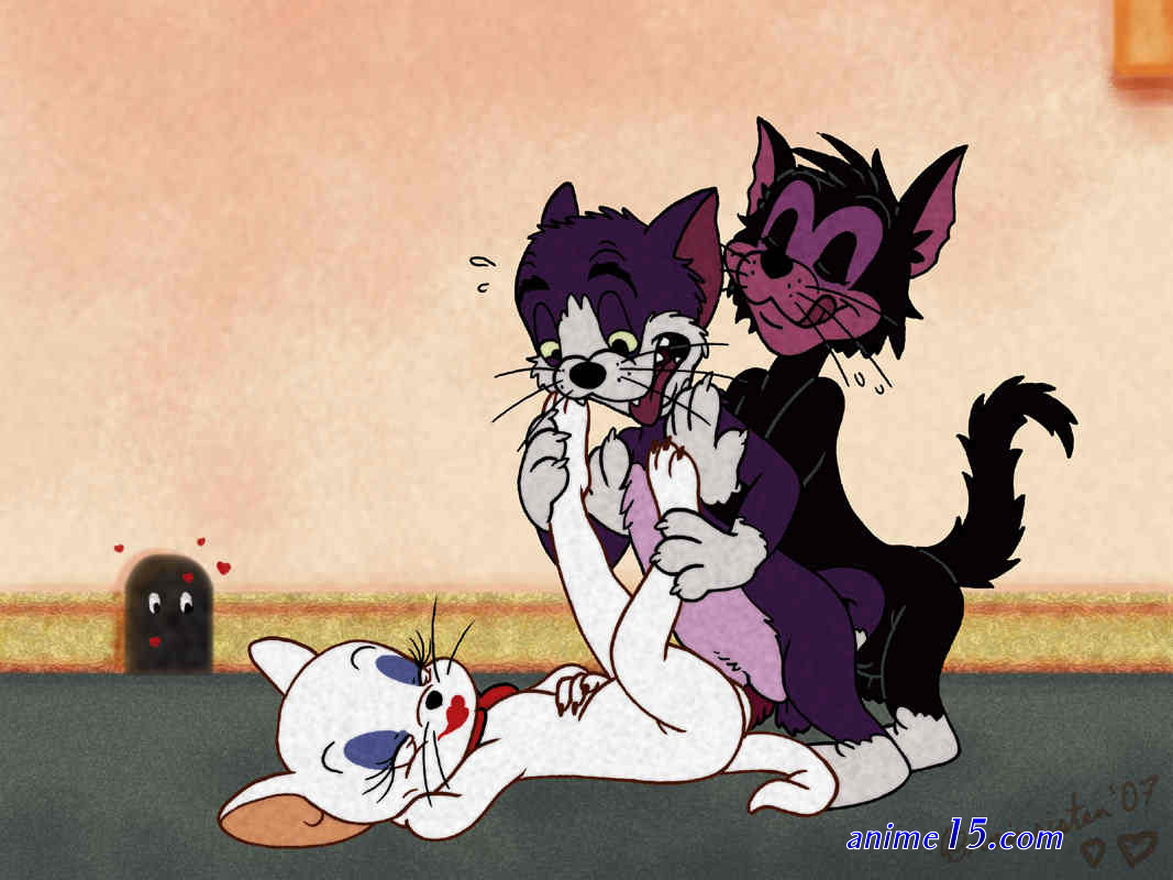 tom y jerry anime porno