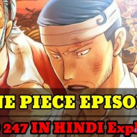 one piece 246
