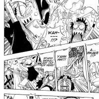 one piece 246