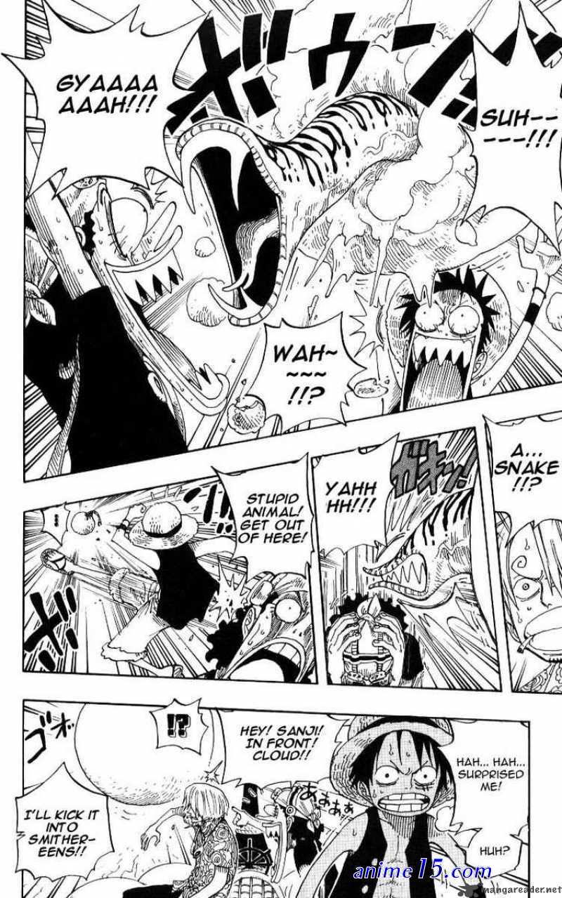 one piece 246